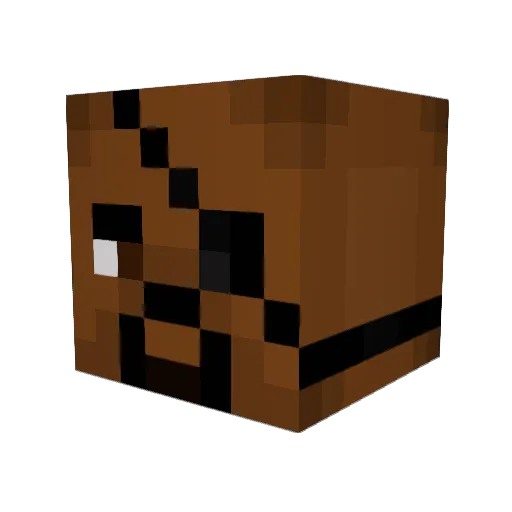 Leo_69 Minecraft avatar head, 3D render