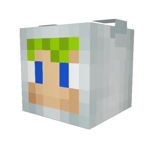 Leo_Braun Minecraft avatar head, 3D render