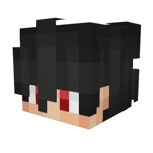 Leo_Donuts_ Minecraft avatar head, 3D render