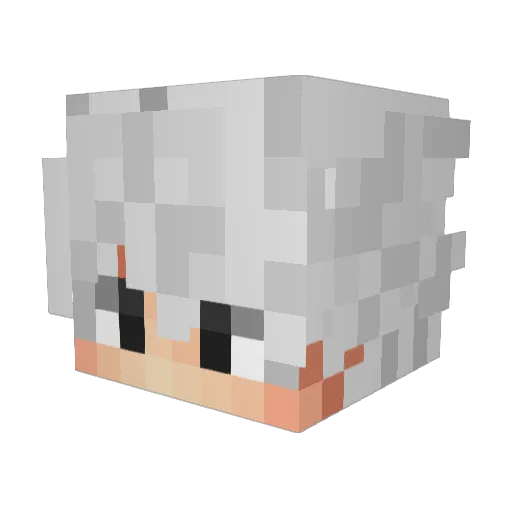 Leo_Fala56 Minecraft avatar head, 3D render