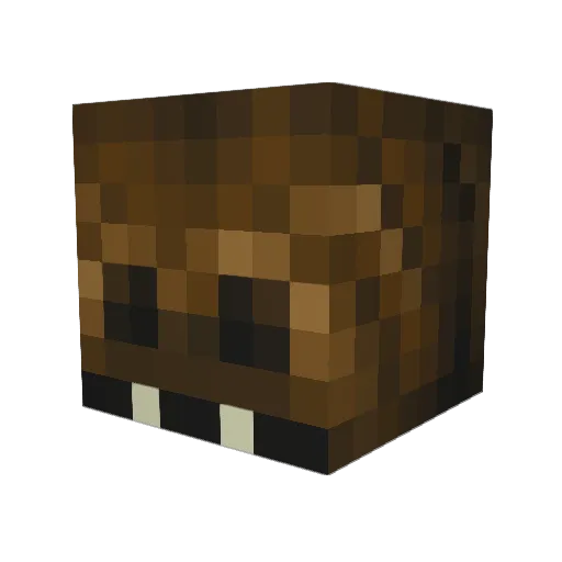 Leo_Leoniee Minecraft avatar head, 3D render