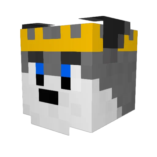 Leo_Pl4yss Minecraft avatar head, 3D render
