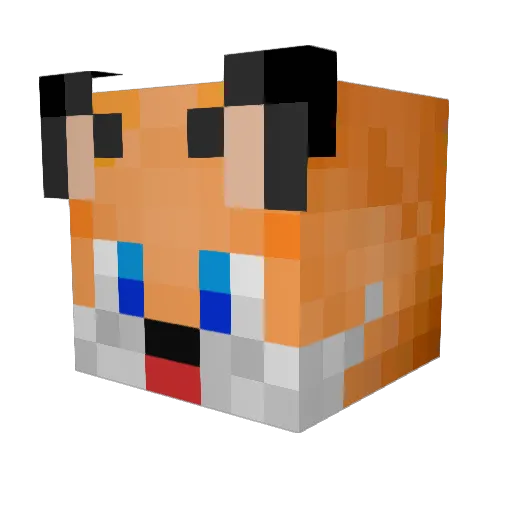 Leo_W07 Minecraft avatar head, 3D render