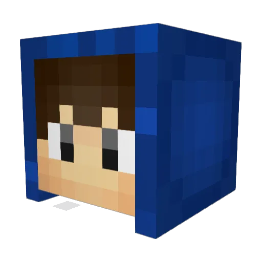 Leo__PvP Minecraft avatar head, 3D render