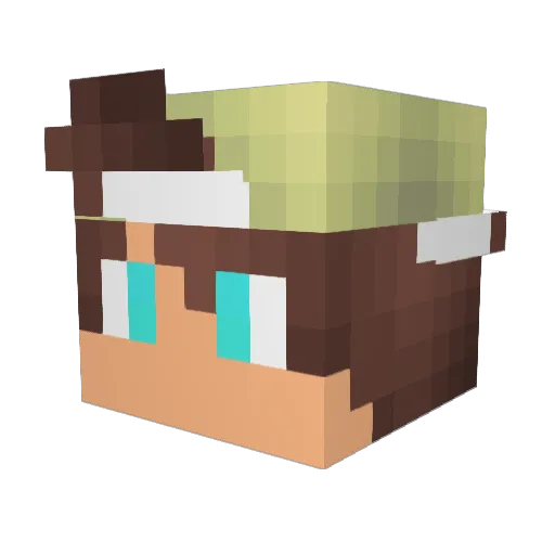 Leo_david Minecraft avatar head, 3D render