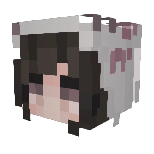 Leo_ie Minecraft avatar head, 3D render