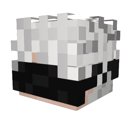 Leobrrrr Minecraft avatar head, 3D render