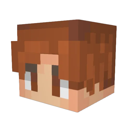 Leocampa06 Minecraft avatar head, 3D render