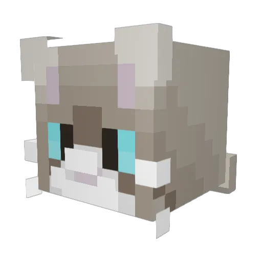 Leocat7812 Minecraft avatar head, 3D render