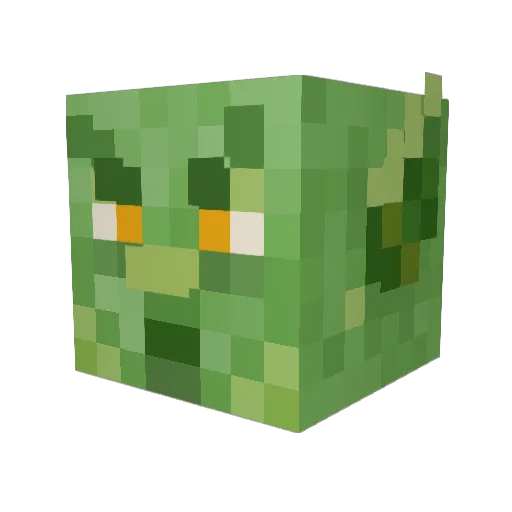 Leoco0007 Minecraft avatar head, 3D render