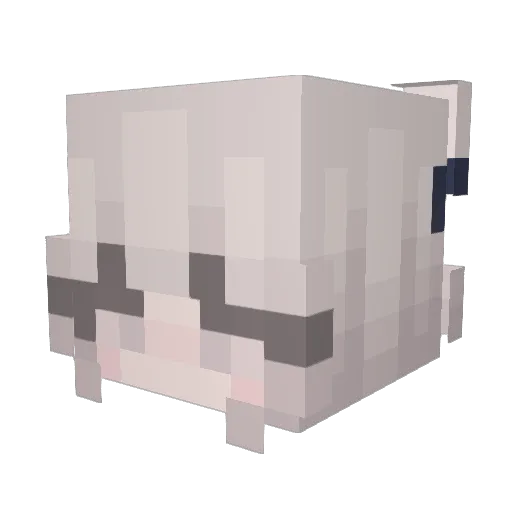 Leocoout Minecraft avatar head, 3D render