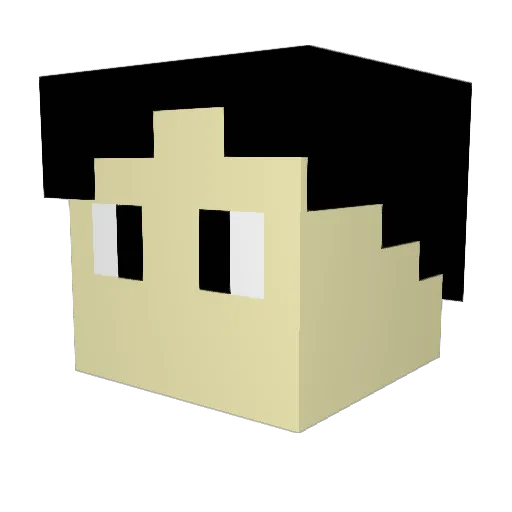 Leocraft2312 Minecraft avatar head, 3D render
