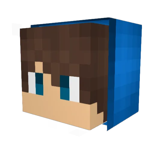 Leocs111111 Minecraft avatar head, 3D render