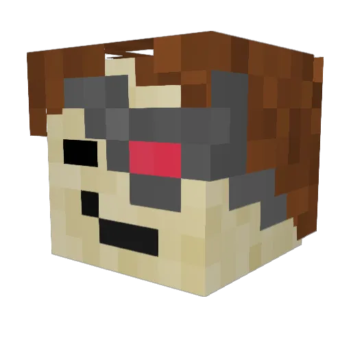 Leocube Minecraft avatar head, 3D render