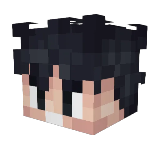 Leoeinsocke Minecraft avatar head, 3D render