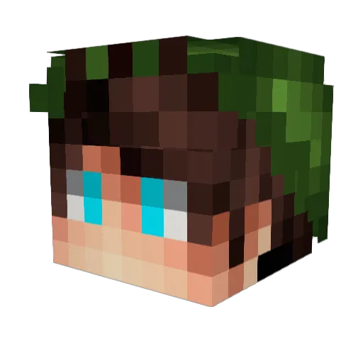 Leogelsty Minecraft avatar head, 3D render
