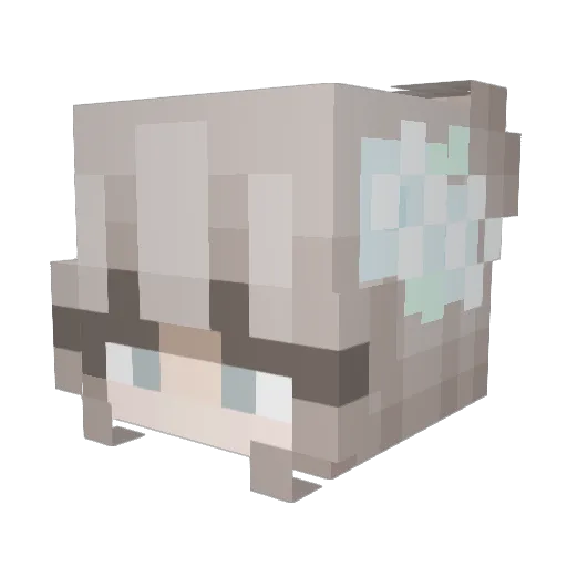 Leogirl2258 Minecraft avatar head, 3D render