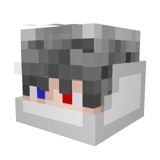 Leoho9487 Minecraft avatar head, 3D render