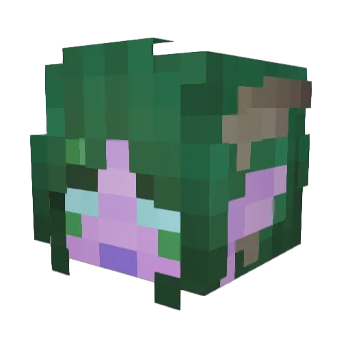 Leoina Minecraft avatar head, 3D render