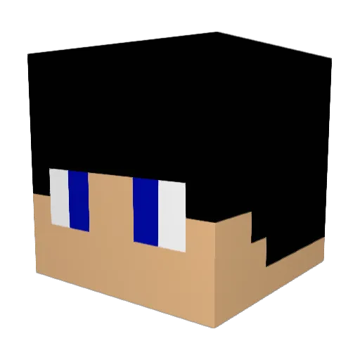 Leokav4est Minecraft avatar head, 3D render