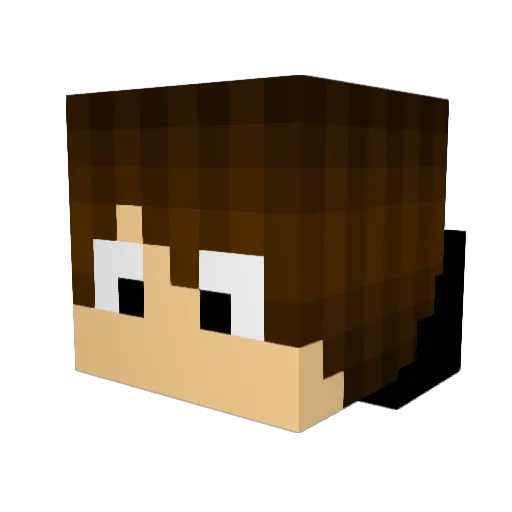 LeolucaBr Minecraft avatar head, 3D render