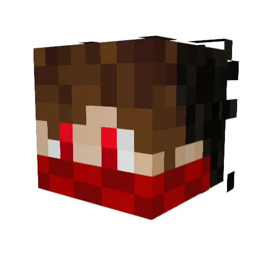 Leon1005 Minecraft avatar head, 3D render