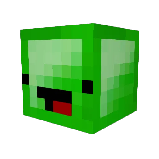 Leon2209K Minecraft avatar head, 3D render