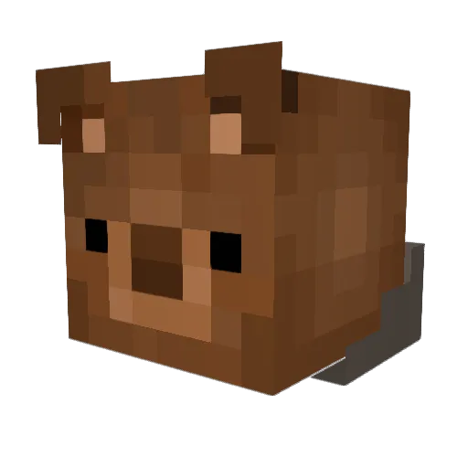 Leon30030 Minecraft avatar head, 3D render