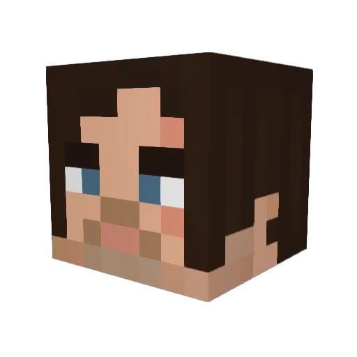 Leon4rdo22 Minecraft avatar head, 3D render