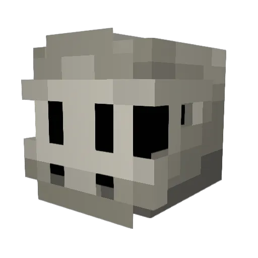 Leon531 Minecraft avatar head, 3D render