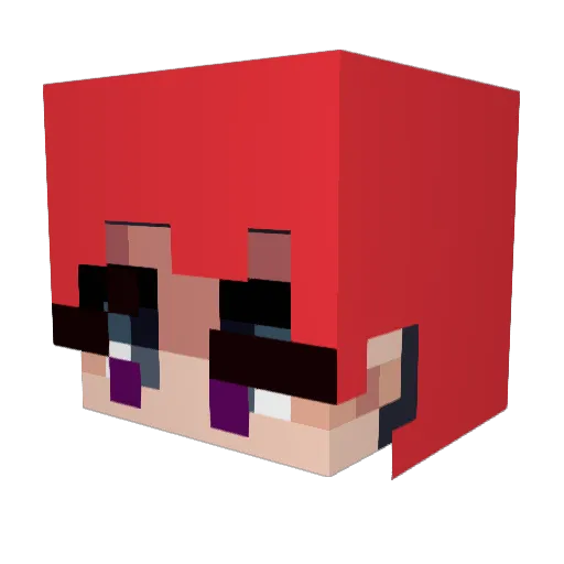 Leon5536 Minecraft avatar head, 3D render