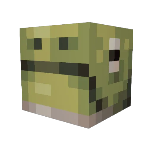 LeonChompsky Minecraft avatar head, 3D render