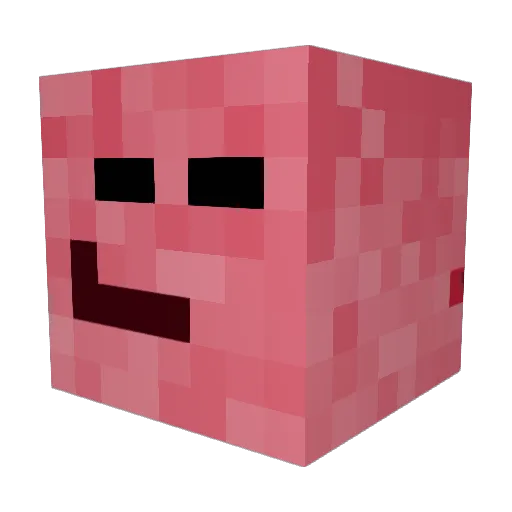 LeonF2k4 Minecraft avatar head, 3D render