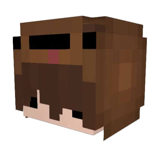 LeonGamingHD__ Minecraft avatar head, 3D render