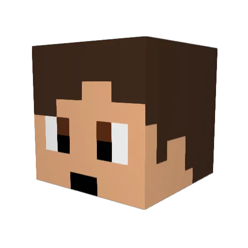 LeonInJapan Minecraft avatar head, 3D render