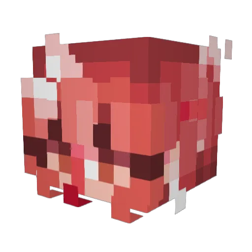 LeonIsSmart Minecraft avatar head, 3D render