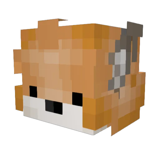 LeonK3nn3dy Minecraft avatar head, 3D render