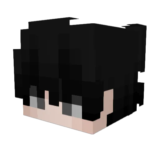 LeonMiner_ Minecraft avatar head, 3D render