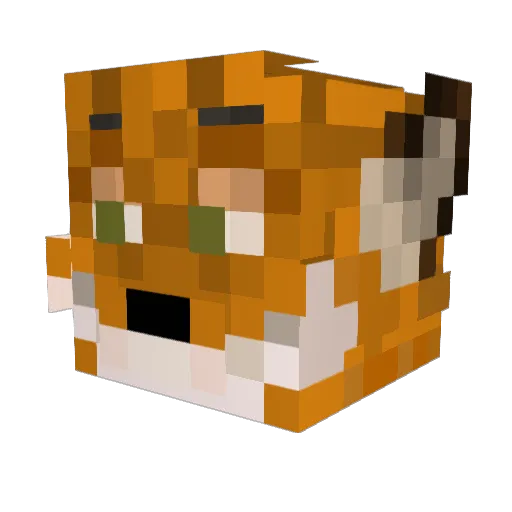 LeonOnTheWii Minecraft avatar head, 3D render