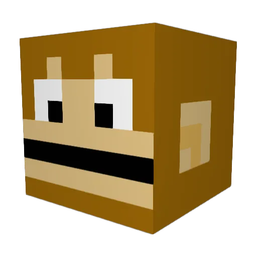LeonPeon14 Minecraft avatar head, 3D render