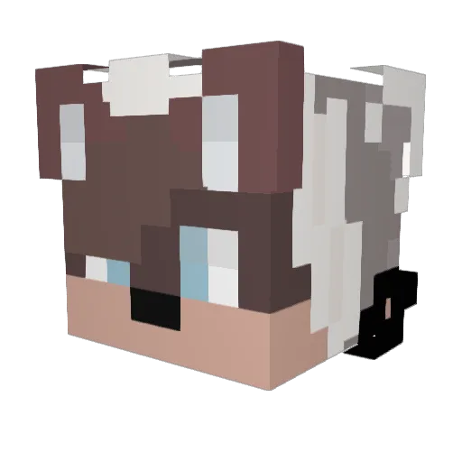 LeonUFO Minecraft avatar head, 3D render