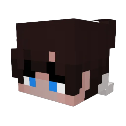 LeonWillZocken Minecraft avatar head, 3D render