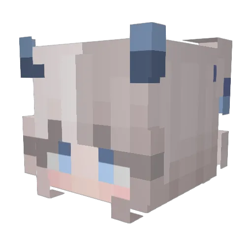 Leon_Snowball Minecraft avatar head, 3D render