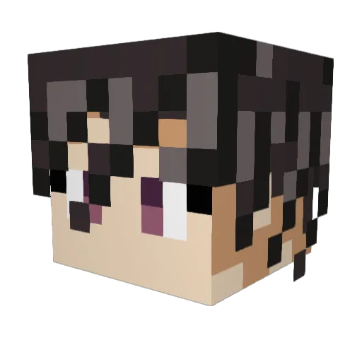 Leonard317 Minecraft avatar head, 3D render