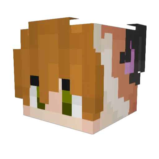 Leoneokill Minecraft avatar head, 3D render