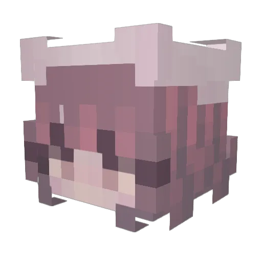 Leonera Minecraft avatar head, 3D render