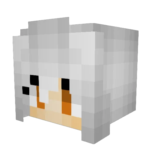 Leong123 Minecraft avatar head, 3D render
