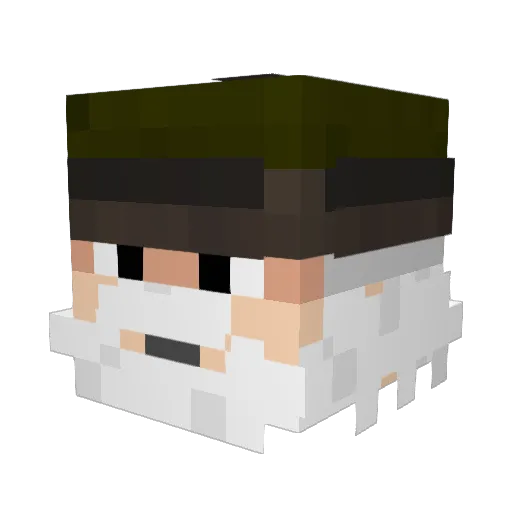 Leonhard_ Minecraft avatar head, 3D render