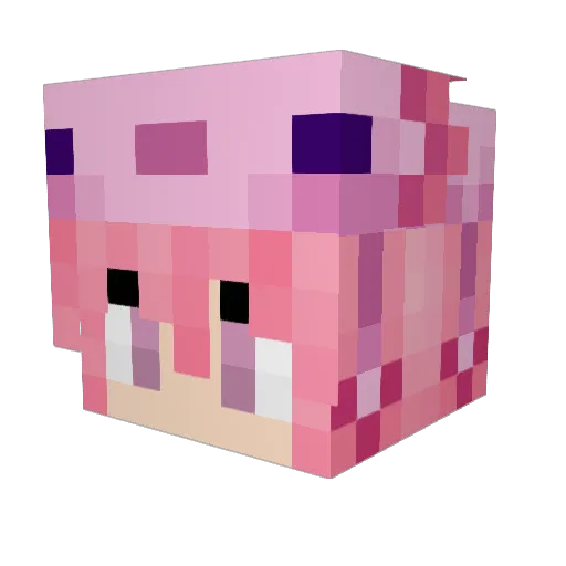 Leoni_98 Minecraft avatar head, 3D render