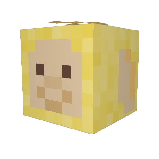 Leonis23 Minecraft avatar head, 3D render